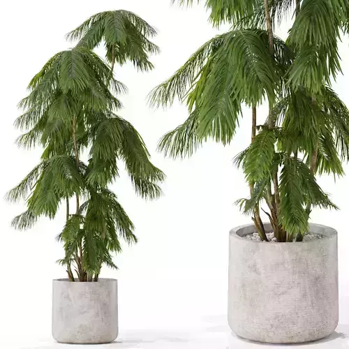 Plants collection 573