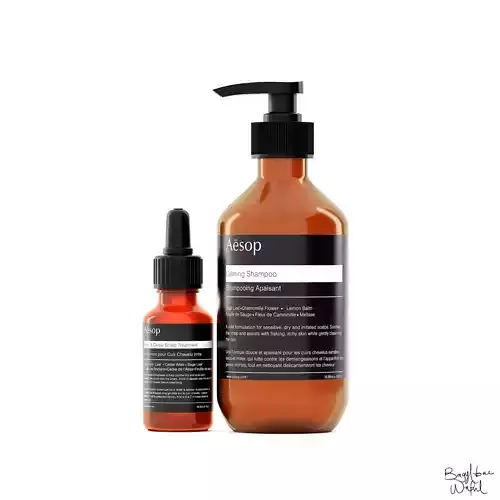 Aesop Bundle Dry Scalp Duo Hybris Large