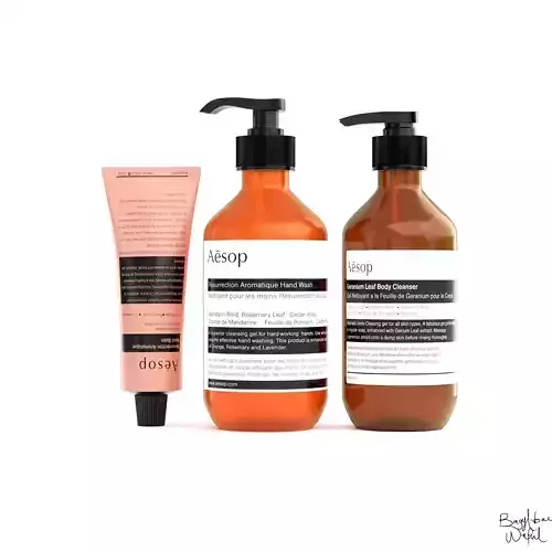 Aesop Bundle Bathroom Essentials Hybris Large Low-poly 3D model