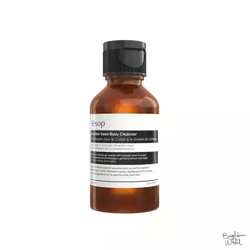 Aesop Body Coriander Seed Cleanser 100ml Low-poly 3D model