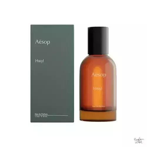 Aesop Fragrance Hwyl Eau de Parfum 50ml Low-poly 3D model
