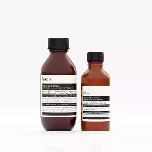 Aesop Bundle Facial Polishing Pair Hybris Large
