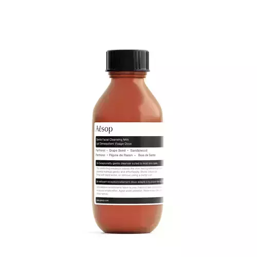 Aesop Skin Gentle Facial Cleansing Milk Low-poly 3D model