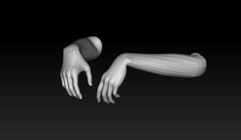 Pack of 8 models of female hands 3D model_16