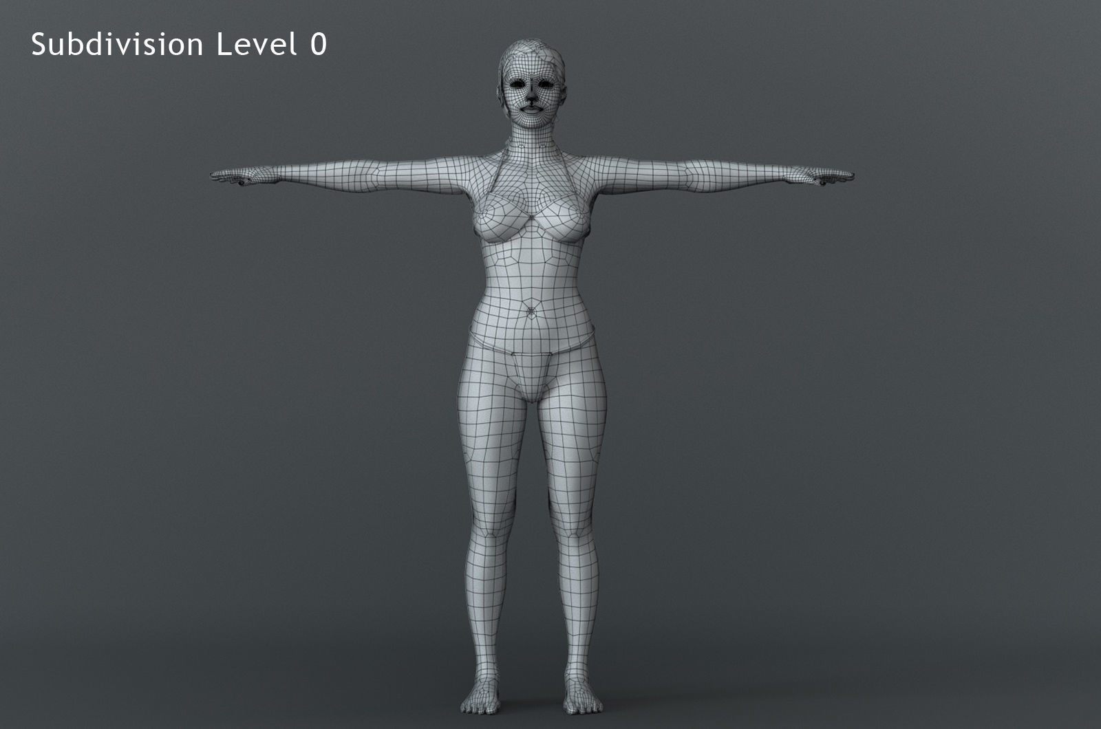Female Full Body Rig Low-poly 3D model_15