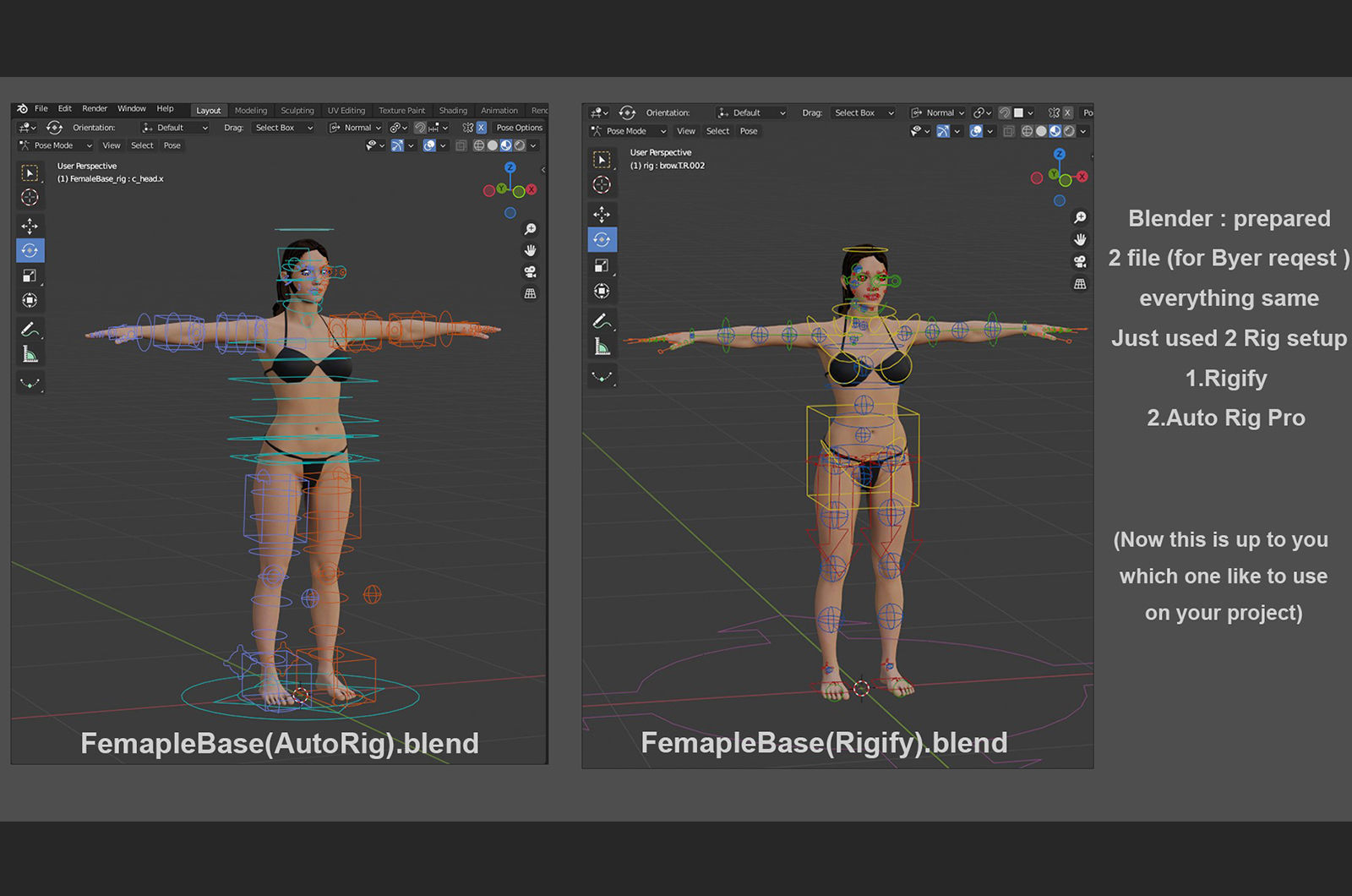 Female Full Body Rig Low-poly 3D model_26
