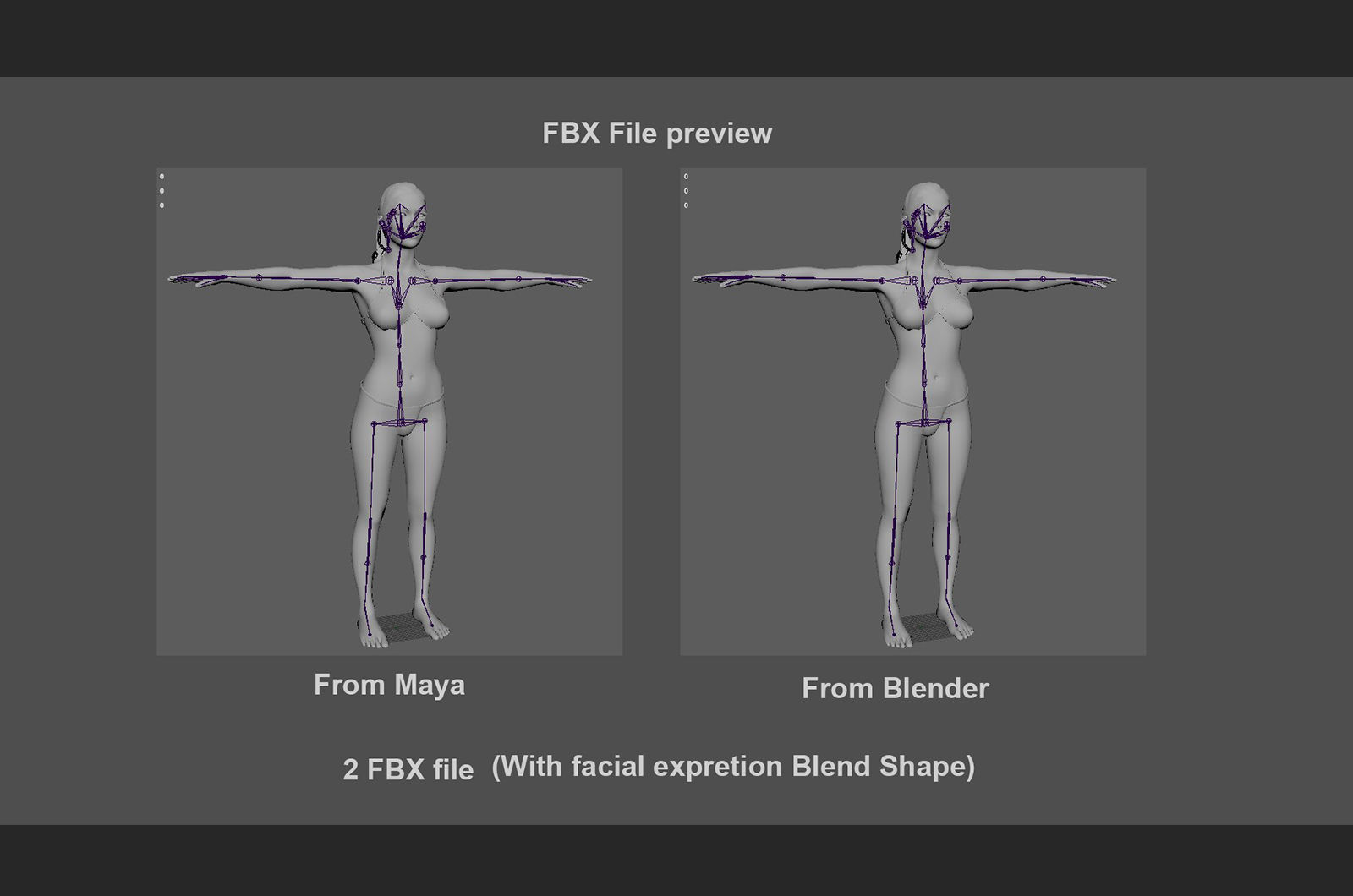 Female Full Body Rig Low-poly 3D model_23