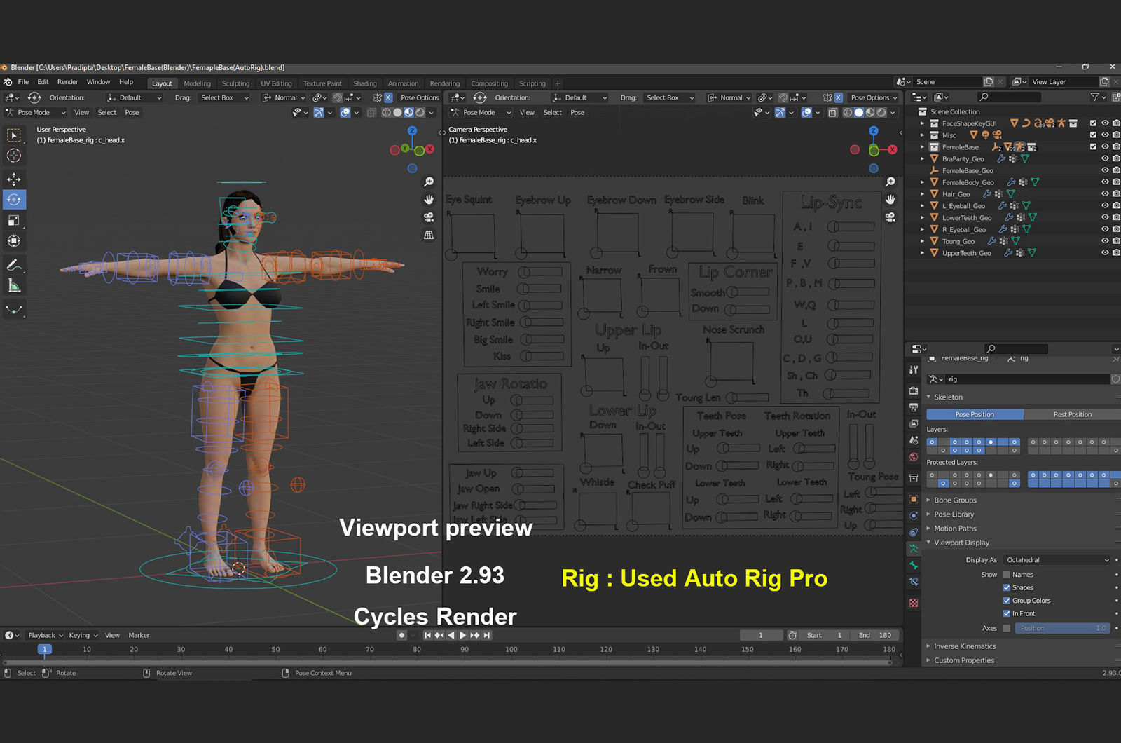 Female Full Body Rig Low-poly 3D model_22