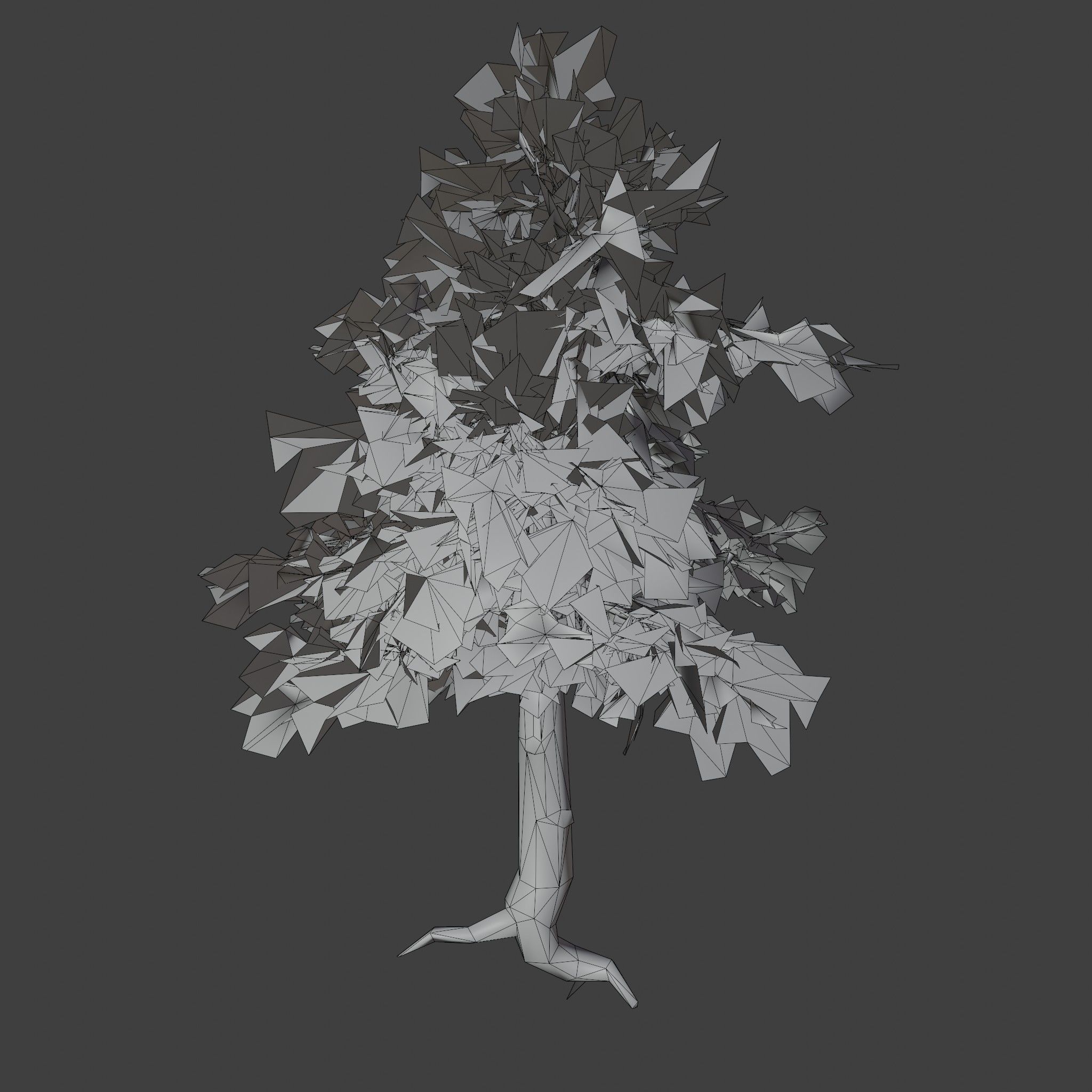 Pinyon Pine 2 Low-poly 3D model_9