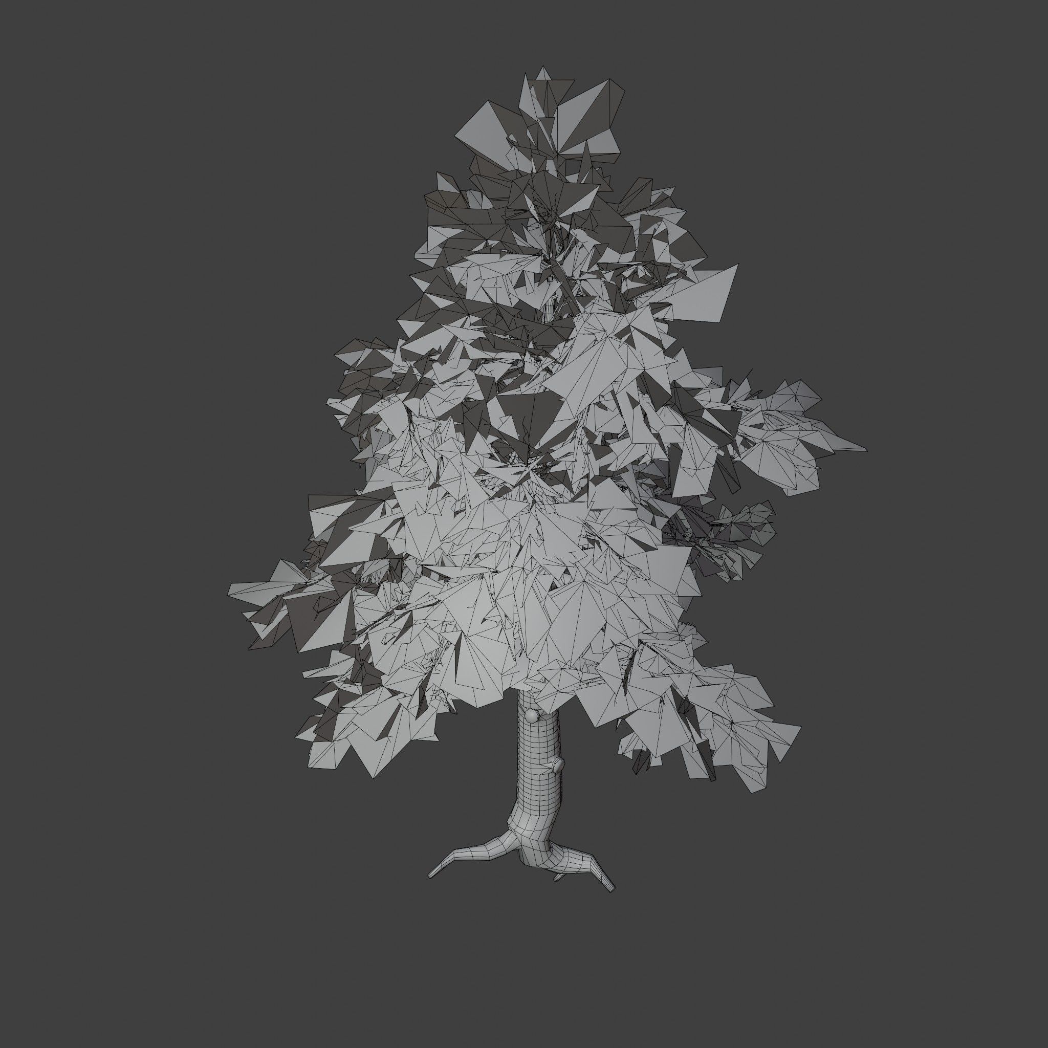 Pinyon Pine 2 Low-poly 3D model_7