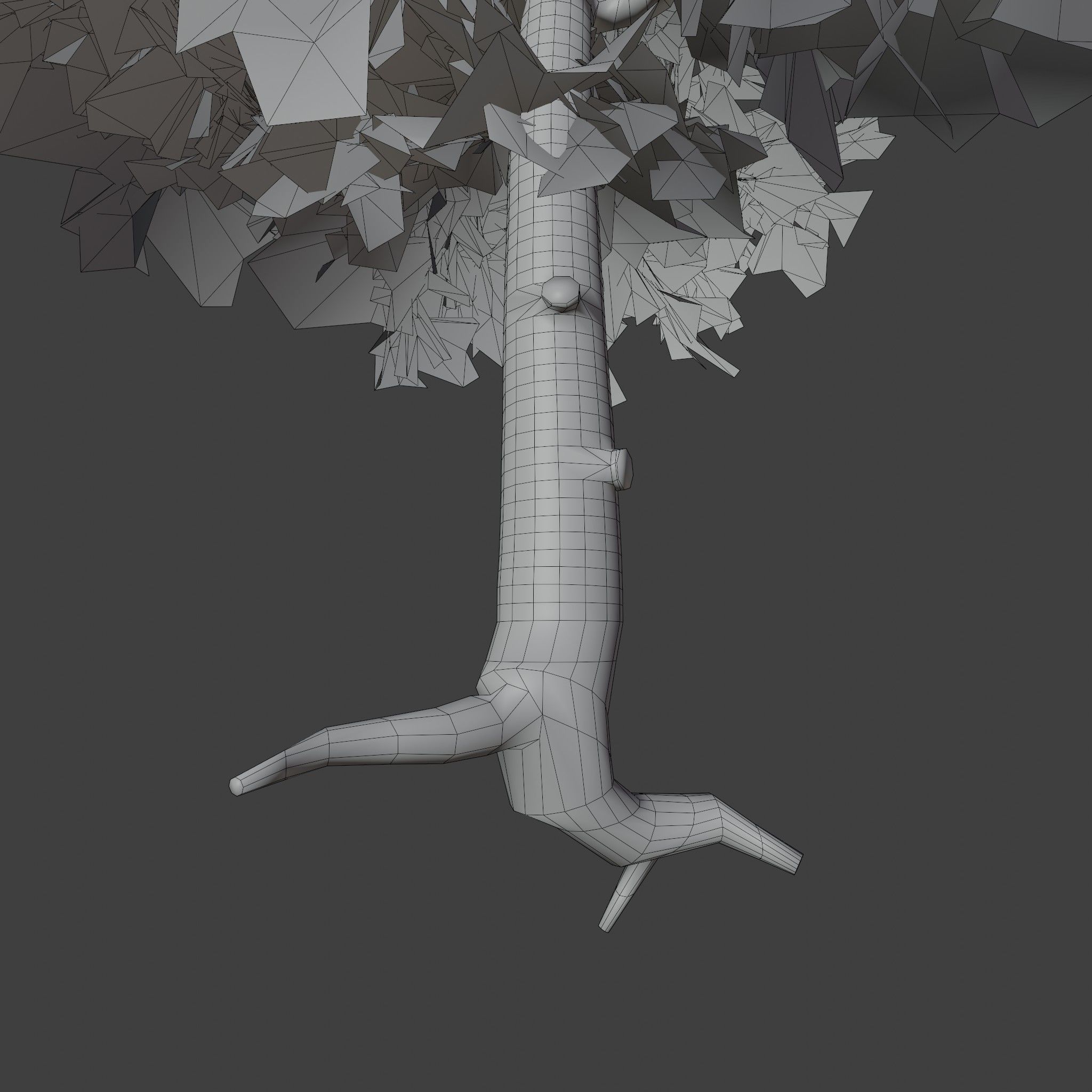 Pinyon Pine 2 Low-poly 3D model_8