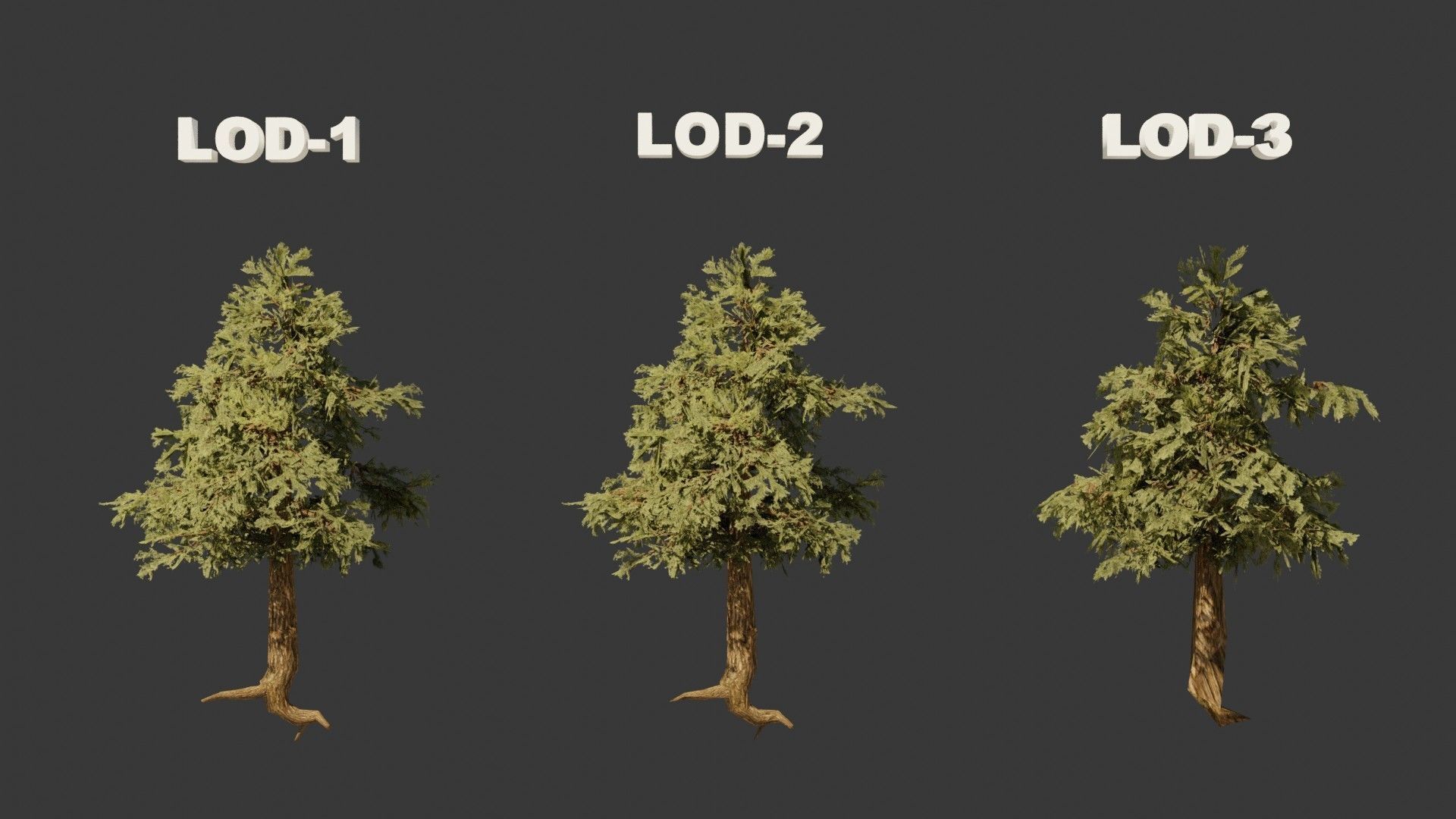 Pinyon Pine 2 Low-poly 3D model_6