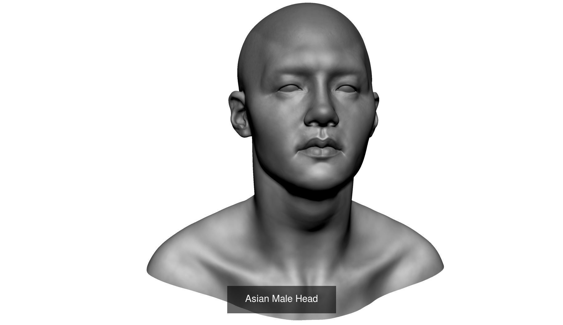 Various Male Head Collection _7