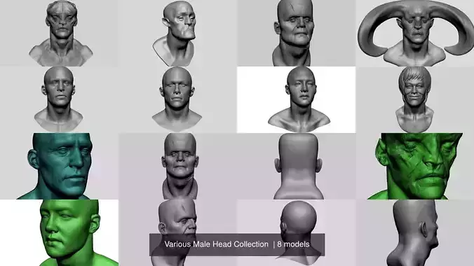 Various Male Head Collection  