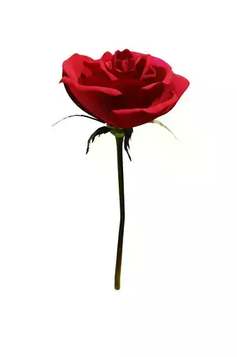 Pose in blender highpoly Free 3D model