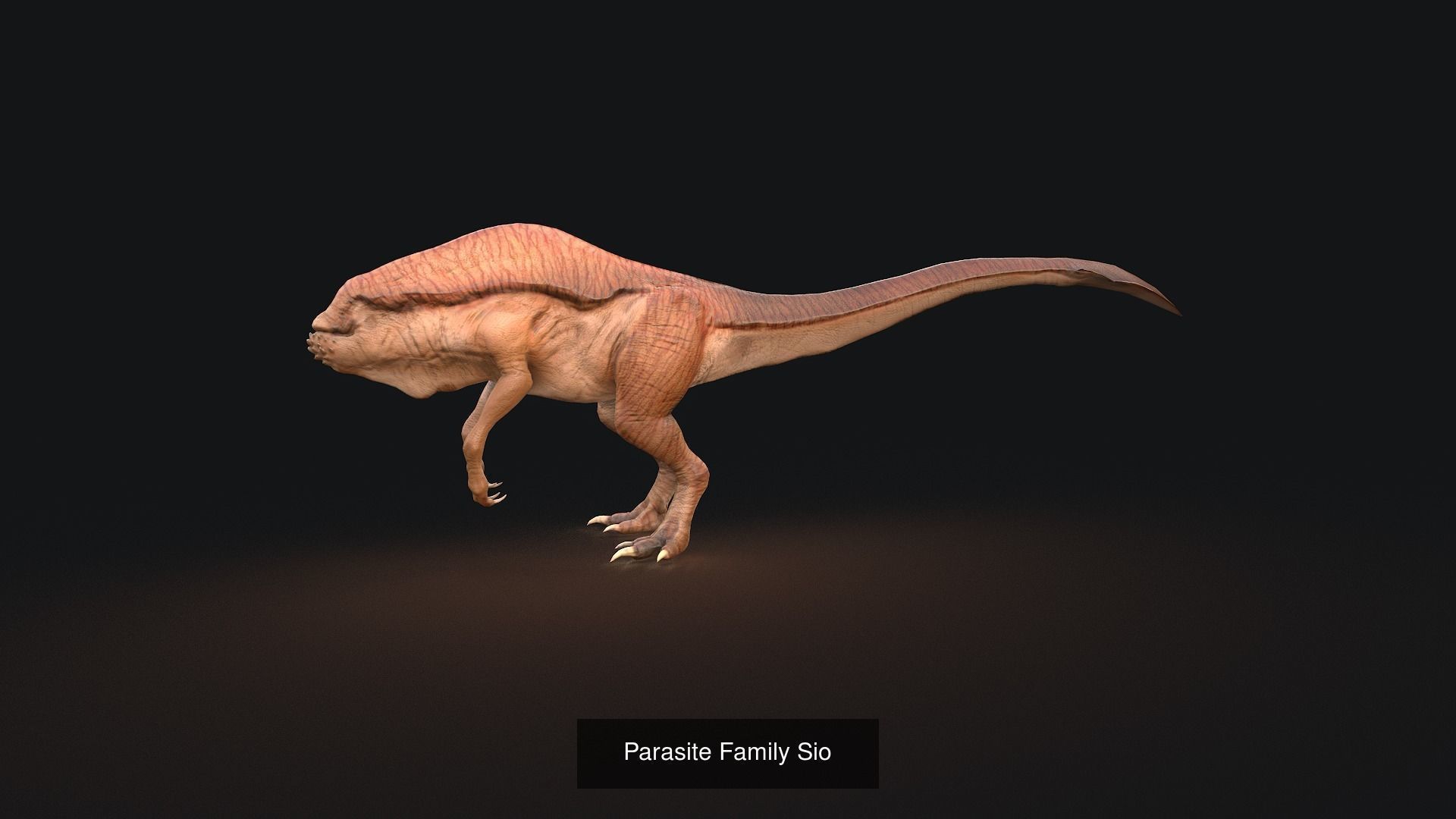 Family Sio Pack 3D Model Collection_6