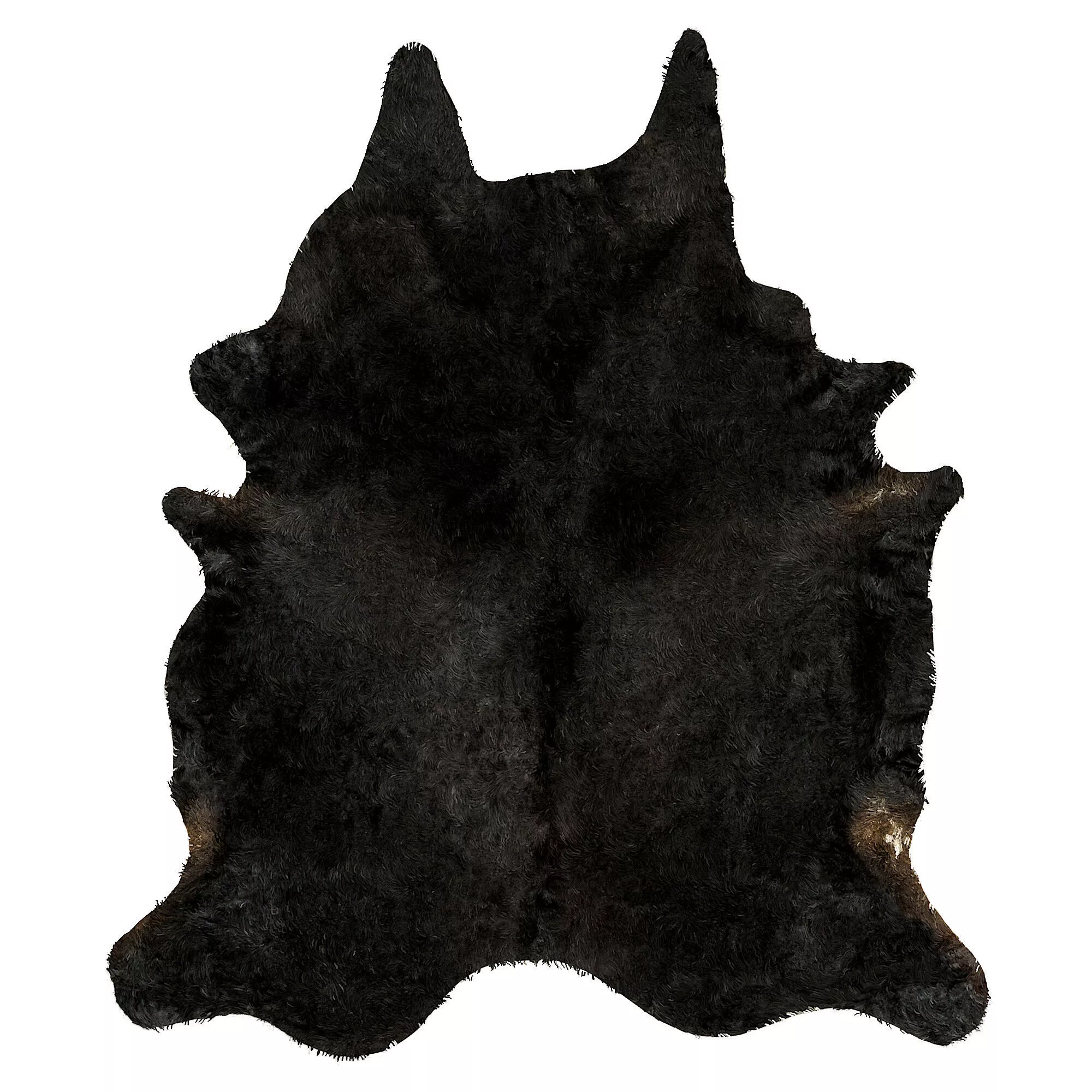 Animal skin rug 3D model