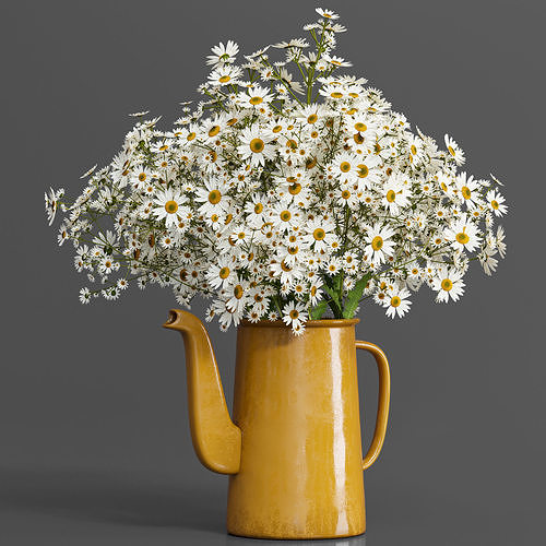 bouquet01-chamomile daisies in teapot 3D model