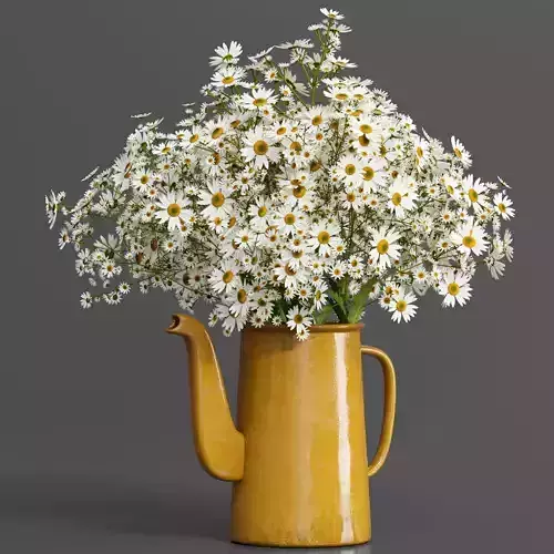 bouquet01-chamomile daisies in teapot 3D model