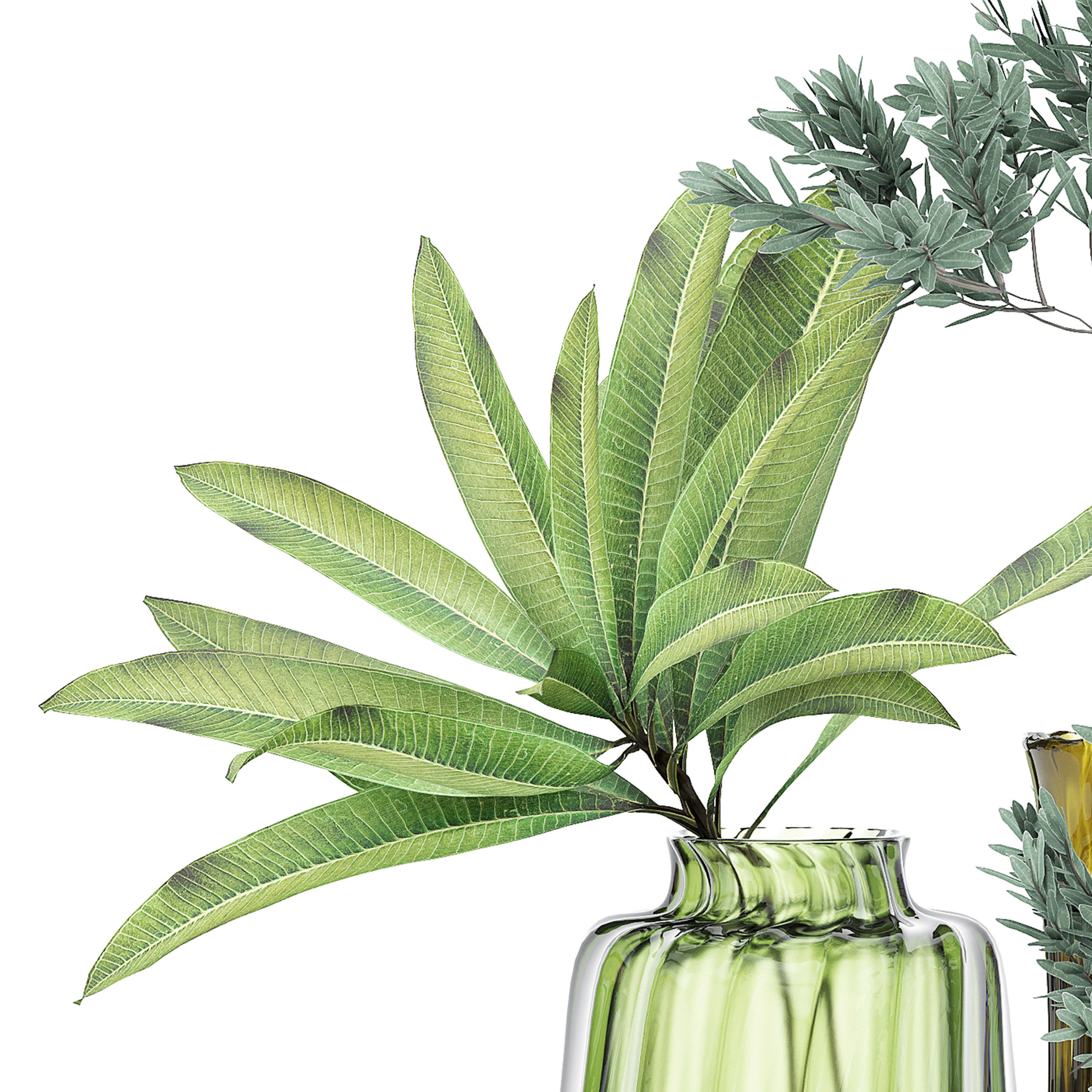 FLOWER PACK 224C 3D model_2