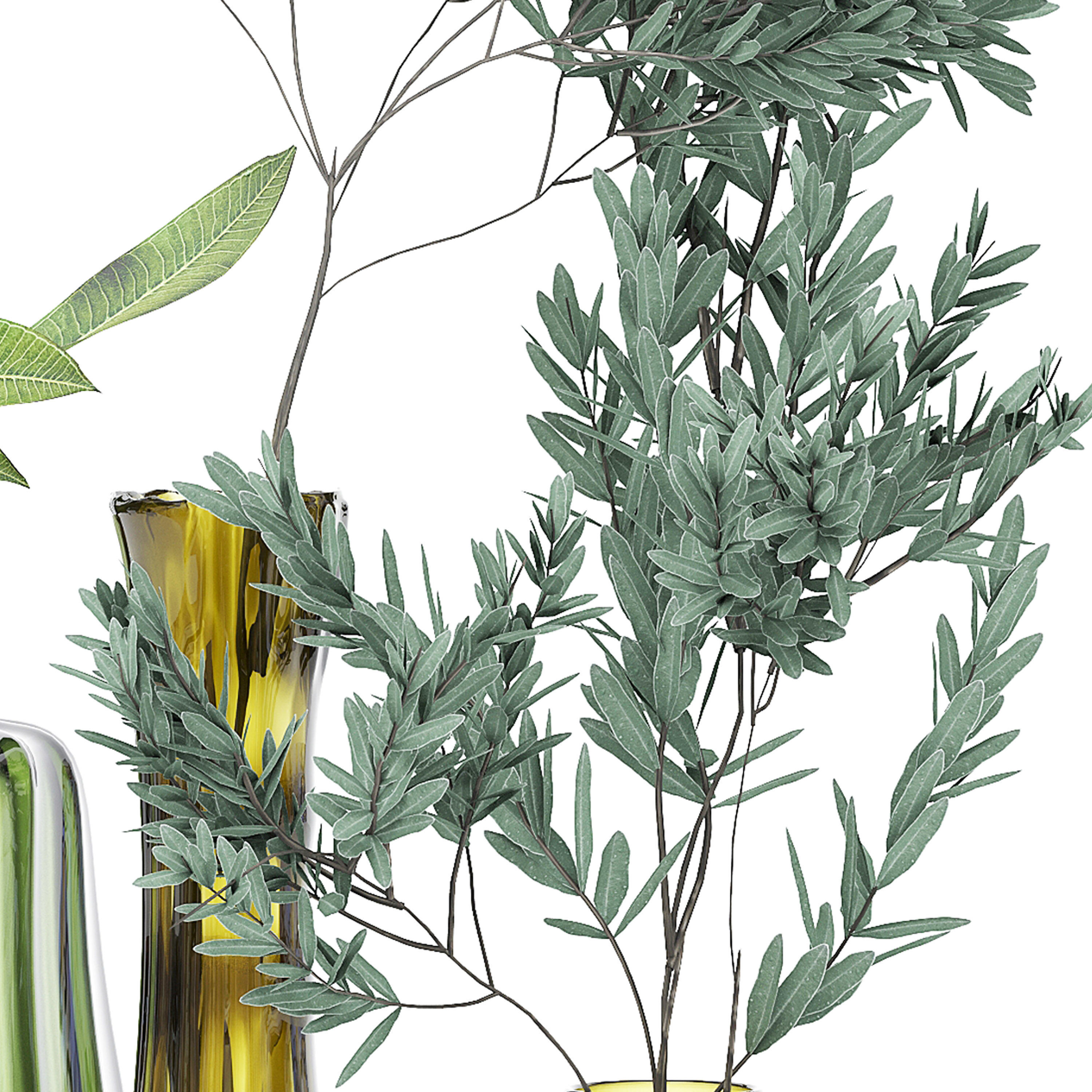 FLOWER PACK 224C 3D model_4