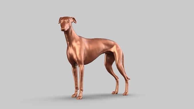 Greyhound Pose 01 3D print model