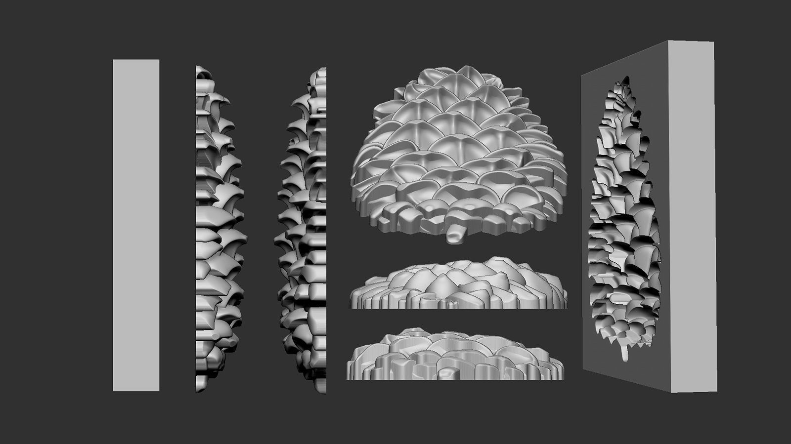 Pine cone cookie stamp 3D print model_2