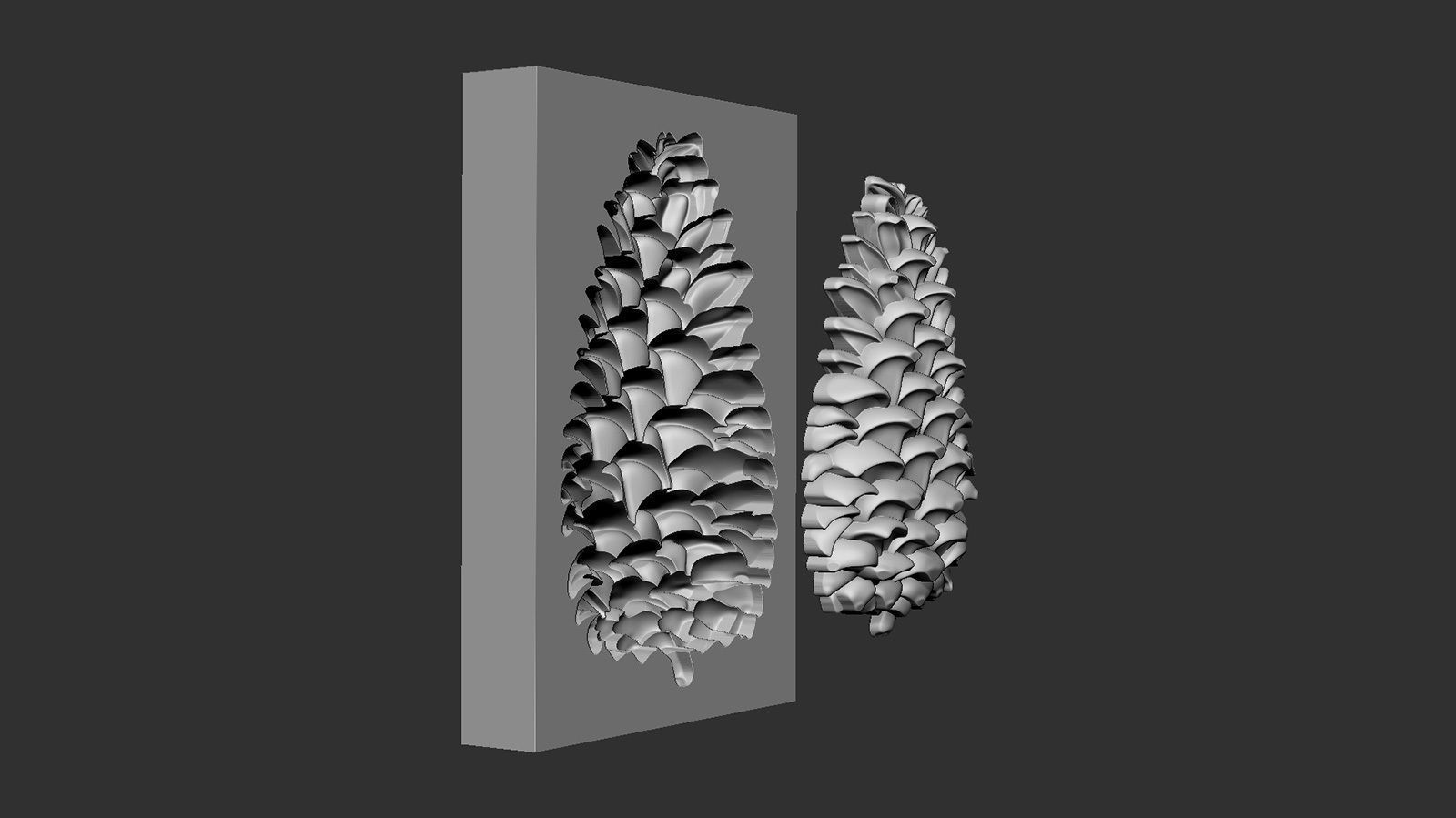 Pine cone cookie stamp 3D print model_1
