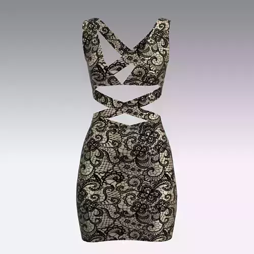 DRESS LACE WOMAN STRAP V NECK TRANSPARENT