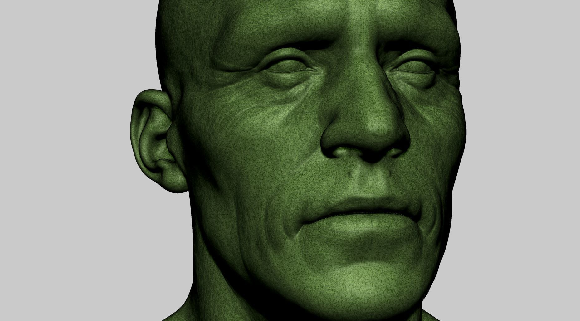 Male Head v7 3D model_14