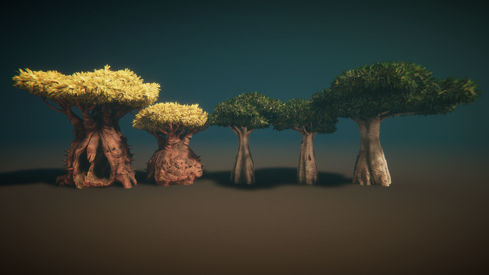 Desert plants Low-poly 3D model_11