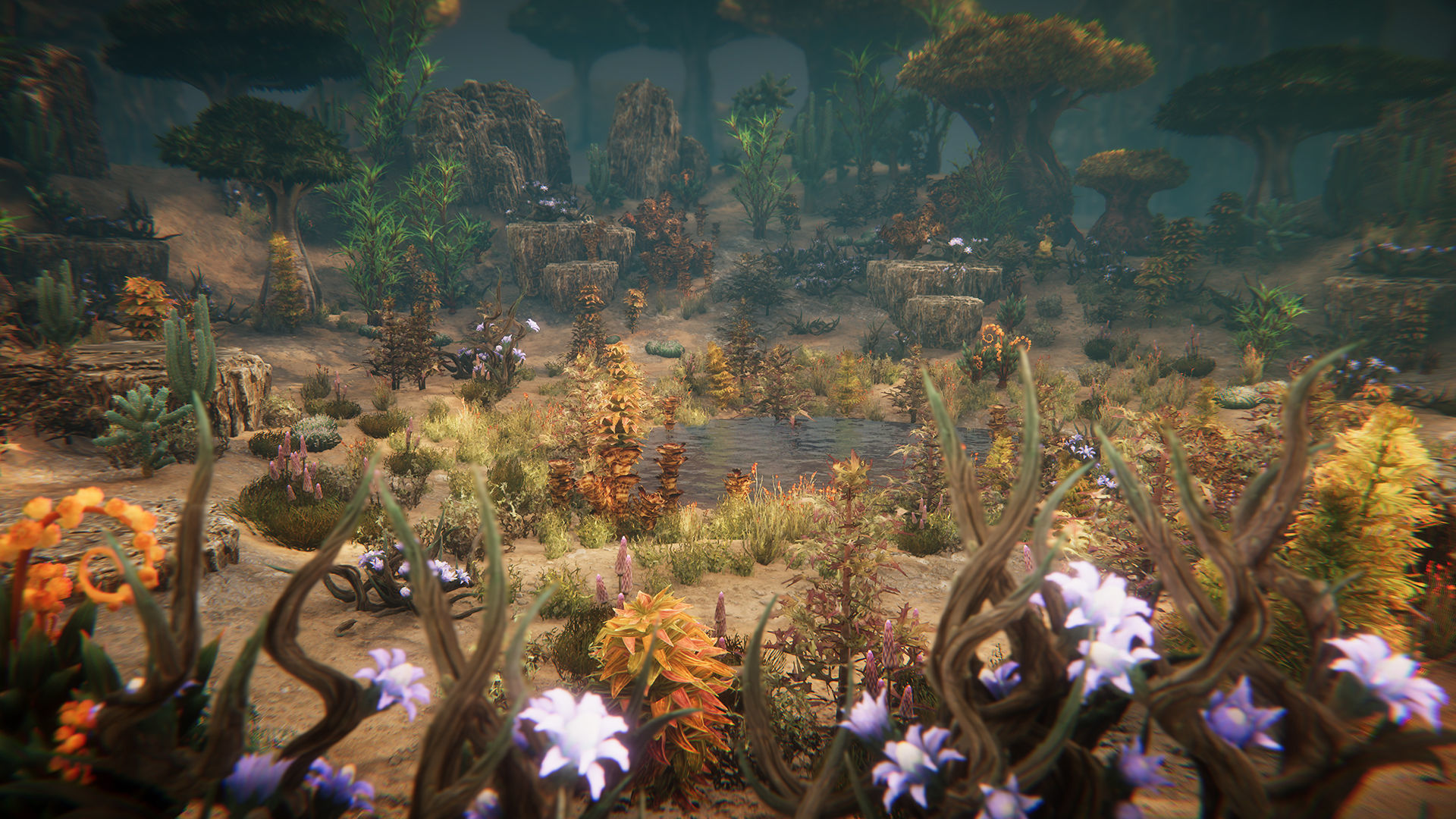 Desert plants Low-poly 3D model_8