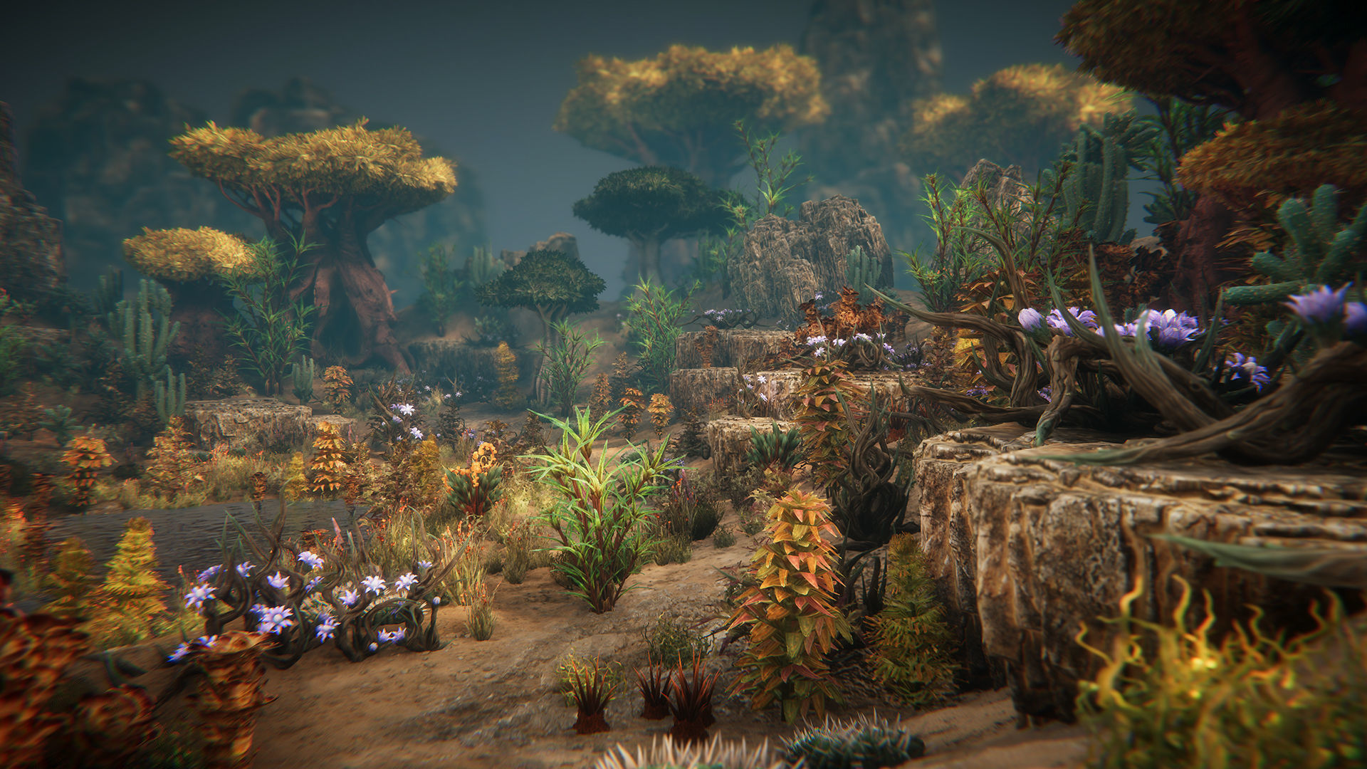 Desert plants Low-poly 3D model_5