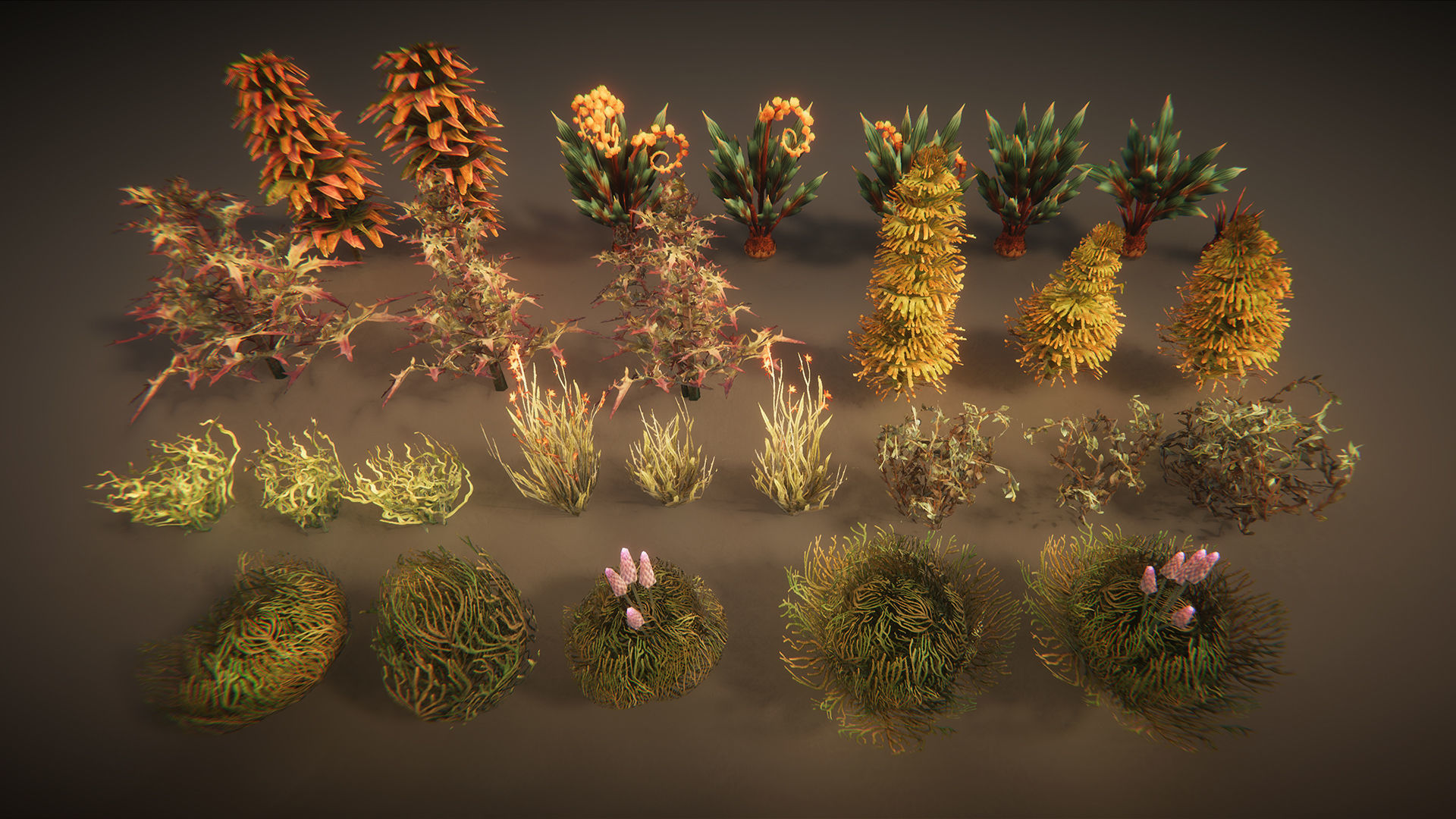 Desert plants Low-poly 3D model_9