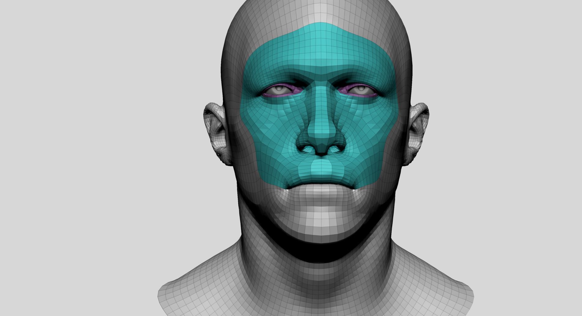 Male Head Basemesh v4 3D model_7