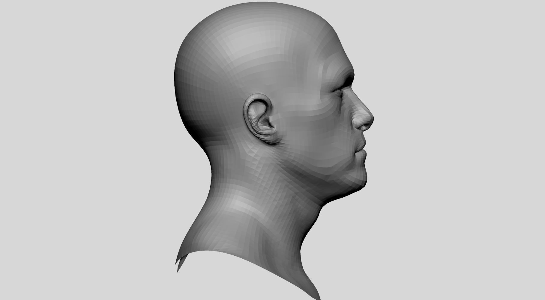 Male Head Basemesh v4 3D model_2