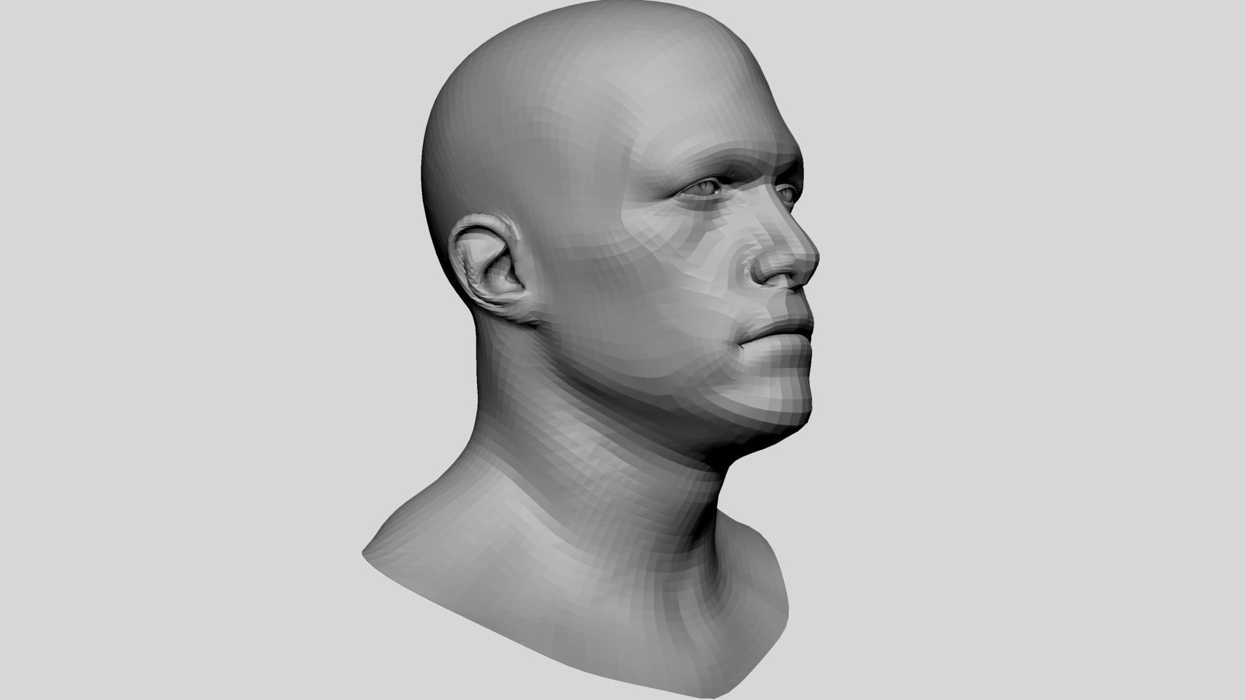Male Head Basemesh v4 3D model_1