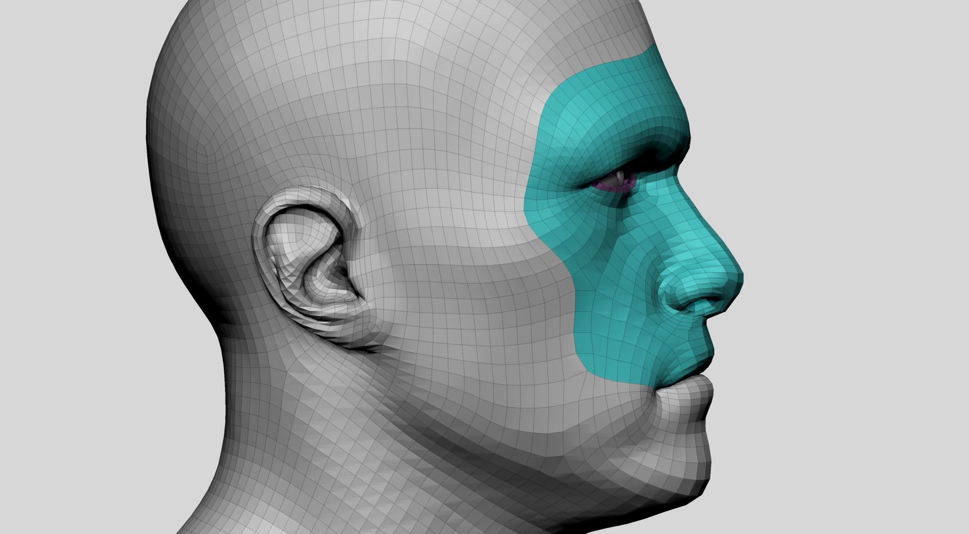 Male Head Basemesh v4 3D model_9
