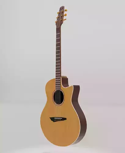 Guitar acoustic