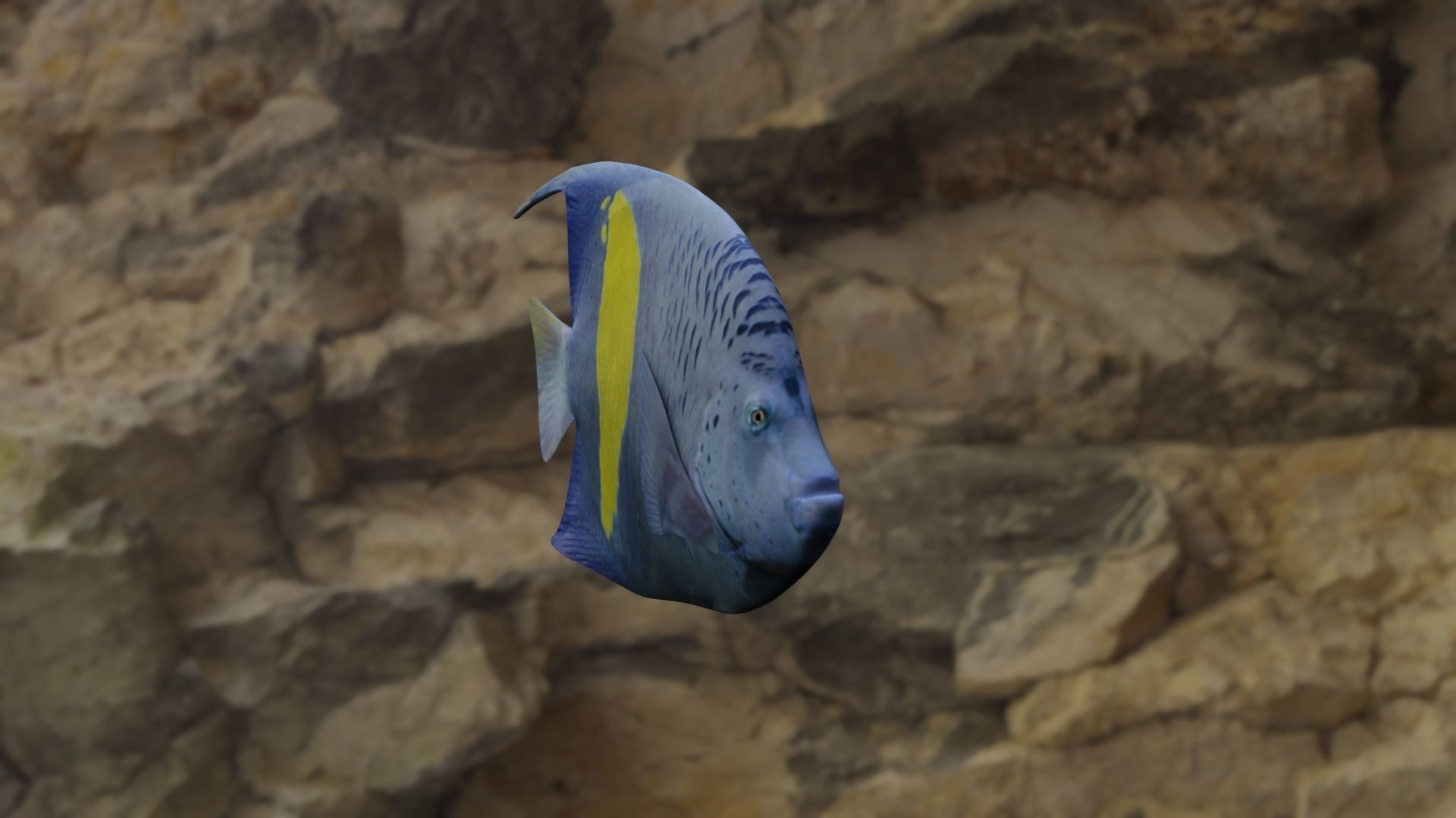 BUTTERFLY YELLOW MARKED FISH Low-poly 3D model_16