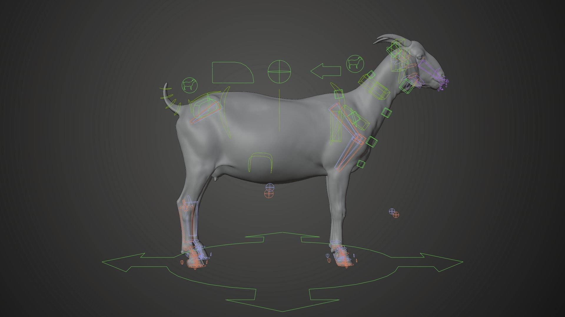 Boer Goat  with 6 Animations VFX Grace 3D model_18