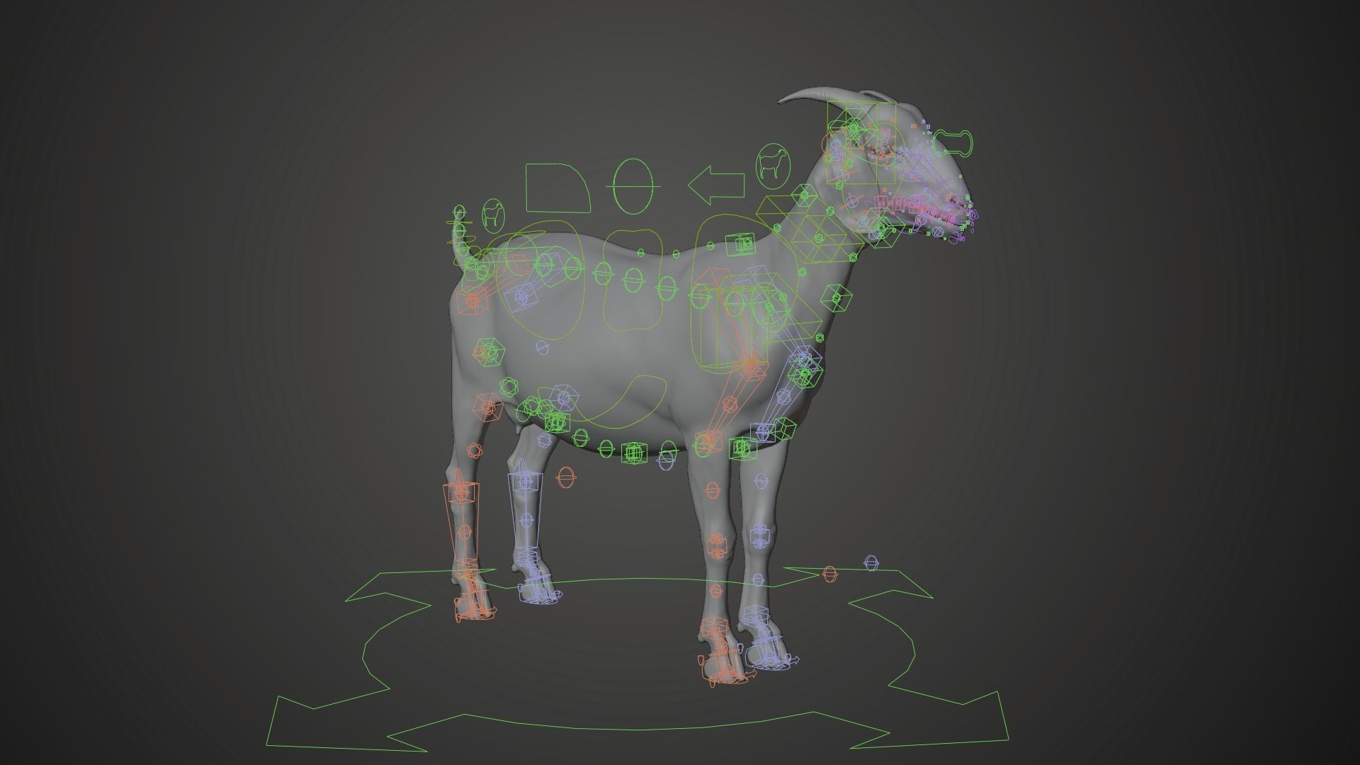 Boer Goat  with 6 Animations VFX Grace 3D model_17