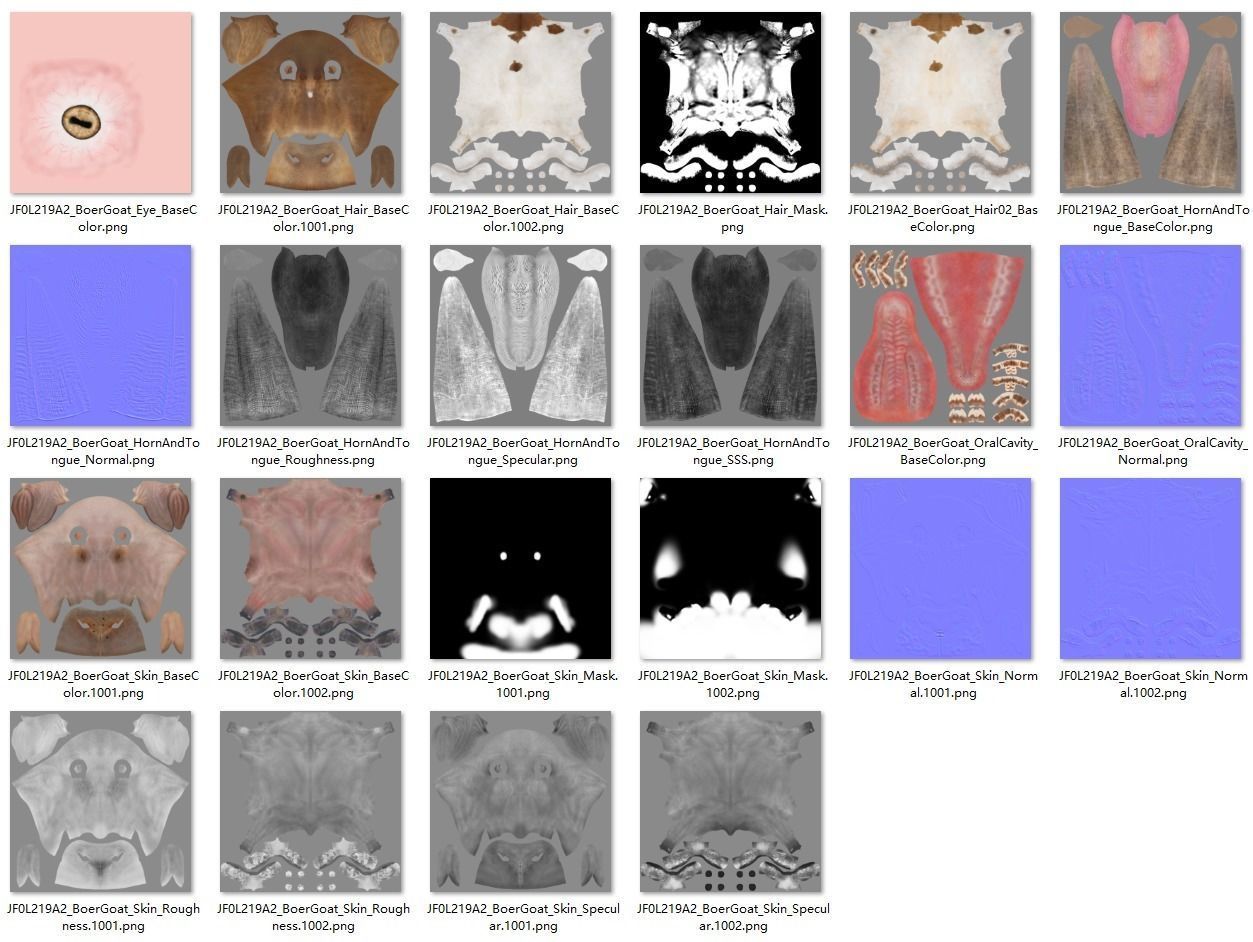 Boer Goat  with 6 Animations VFX Grace 3D model_24