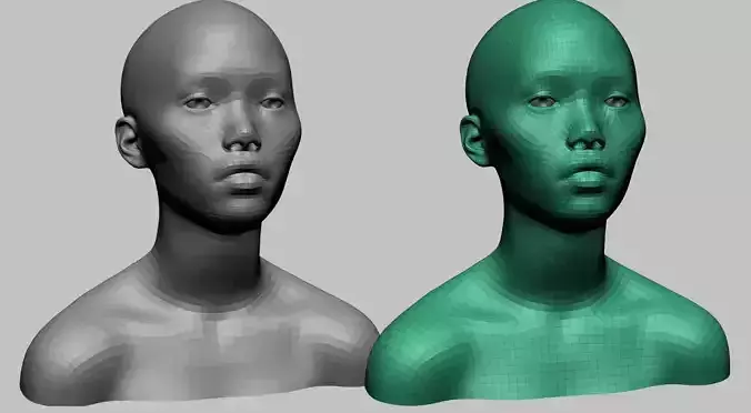 Female Head Basemesh v2 3D model