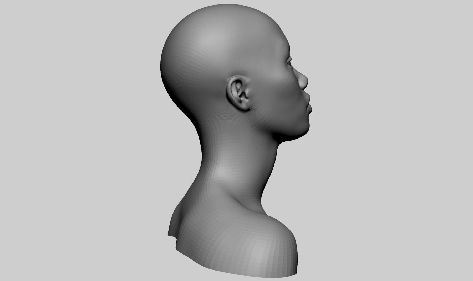 Female Head Basemesh v2 3D model_7