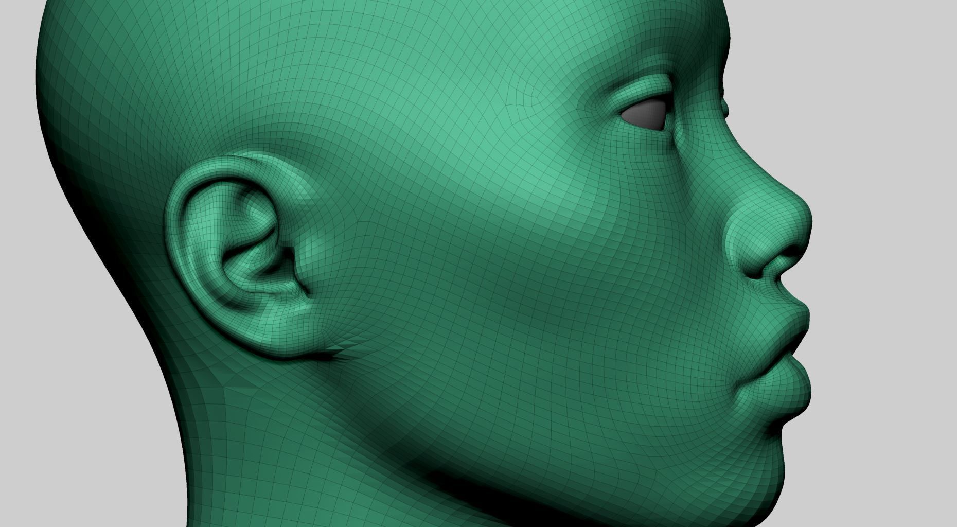 Female Head Basemesh v2 3D model_13