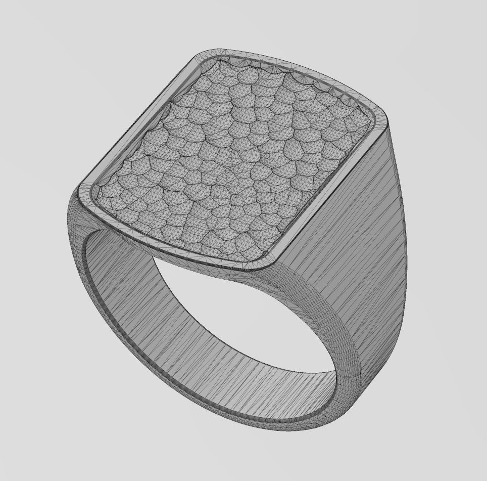 Dog tag signet with hammered textured top US sizes 6to9 3D print model_14