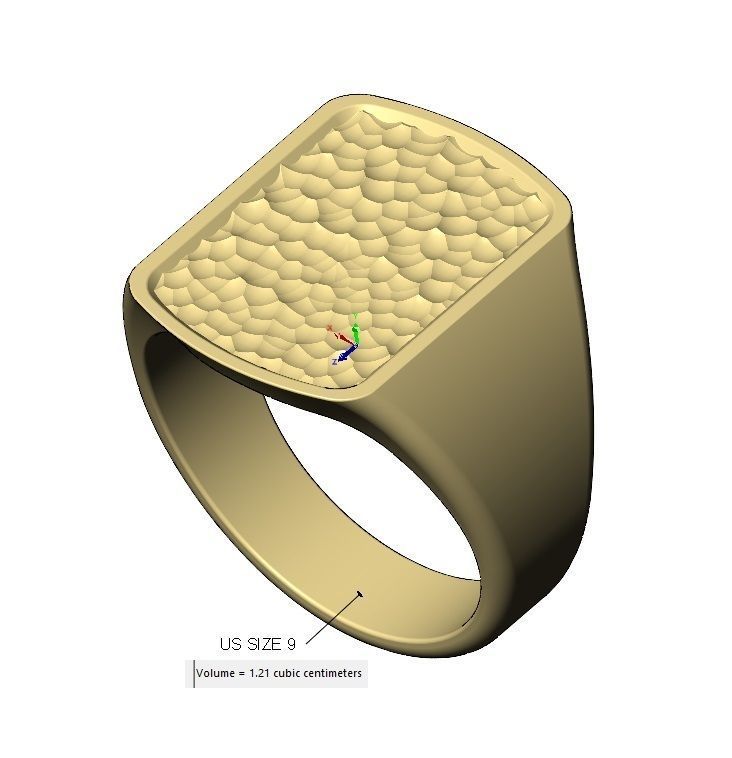 Dog tag signet with hammered textured top US sizes 6to9 3D print model_12