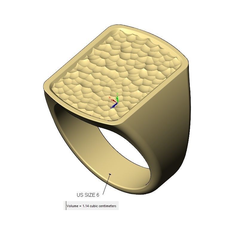 Dog tag signet with hammered textured top US sizes 6to9 3D print model_16