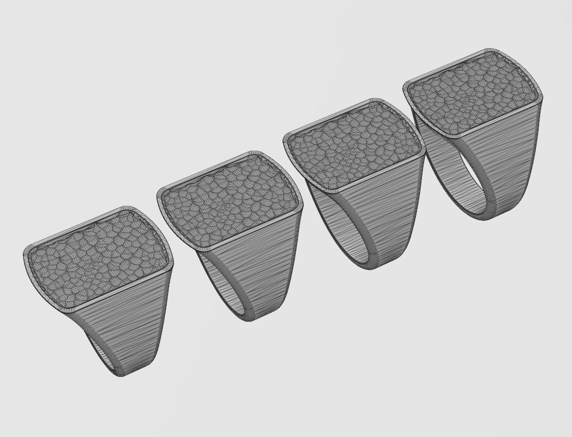 Dog tag signet with hammered textured top US sizes 6to9 3D print model_18